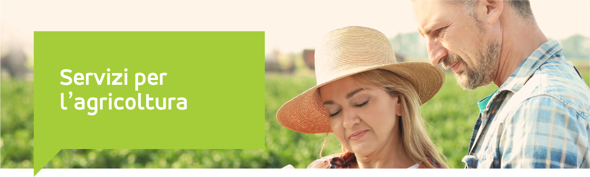 image_Servizi