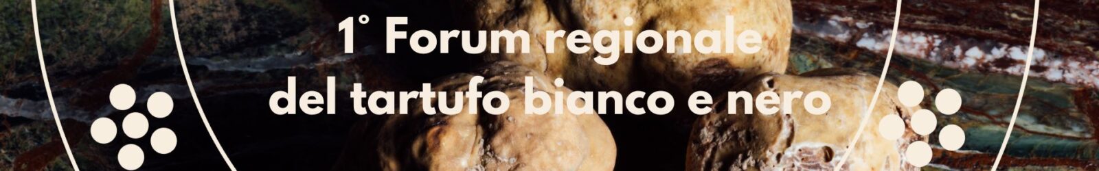 testate-sito-1-1-1600x250