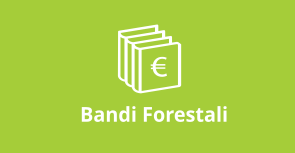 Bandi regionali